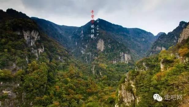 河北张北艾郎风电叶片扩建项目顺利投产